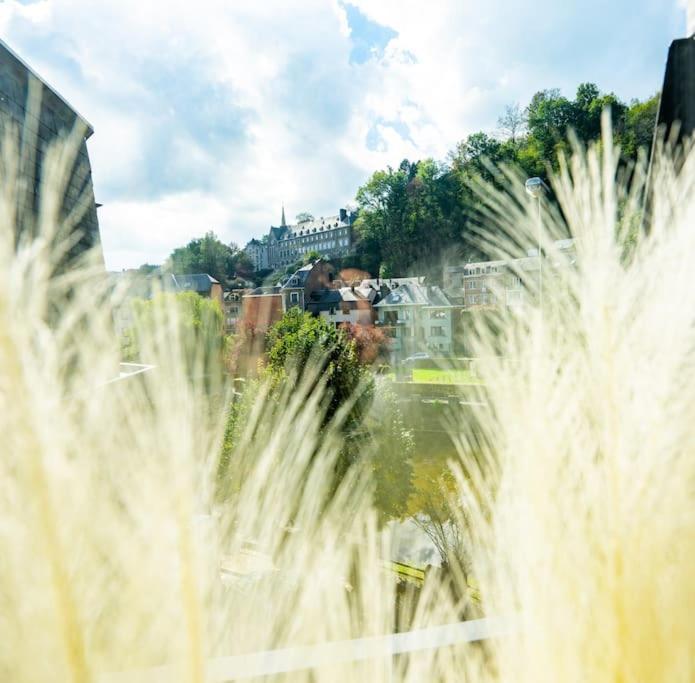 Le Comble Amoureux La-Roche-en-Ardenne Exteriér fotografie